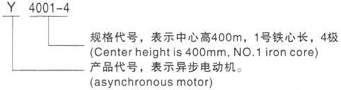 西安泰富西玛Y系列(H355-1000)高压YJTGKK6303-4三相异步电机型号说明