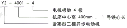 YR系列(H355-1000)高压YJTGKK6303-4三相异步电机西安西玛电机型号说明